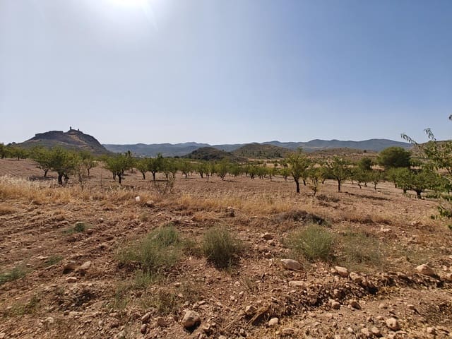 Byggetomt til salgs i Lorca - € 99 000 (Ref: 10168961)
