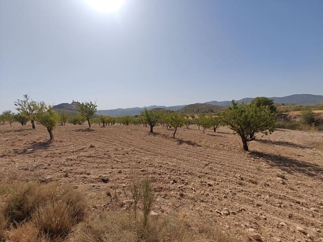 Byggetomt til salgs i Lorca - € 99 000 (Ref: 10168961)