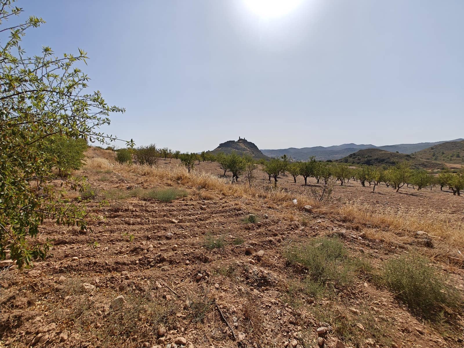 Solar/Parcela en Lorca en venta - 99.000 € (Ref: 10168961)
