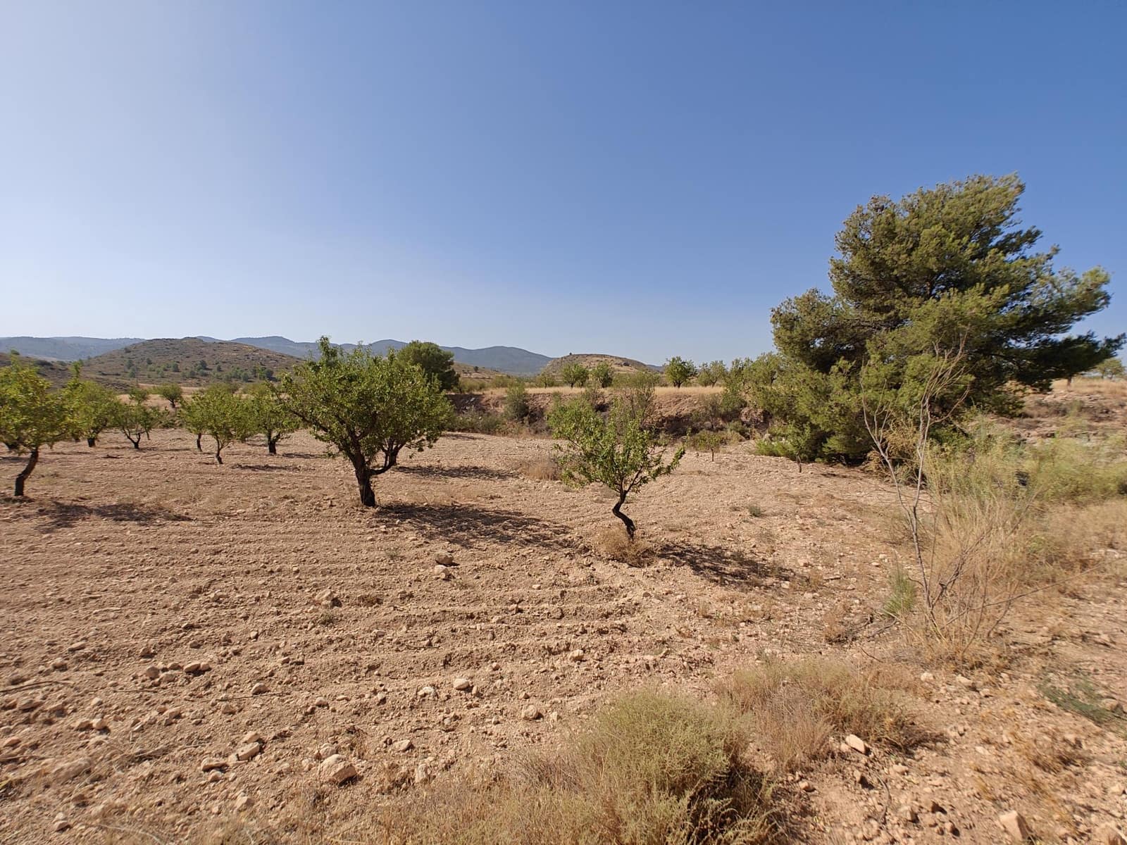 Solar/Parcela en Lorca en venta - 99.000 € (Ref: 10168961)