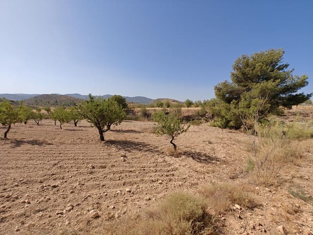 Byggetomt til salgs i Lorca - € 99 000 (Ref: 10168961)