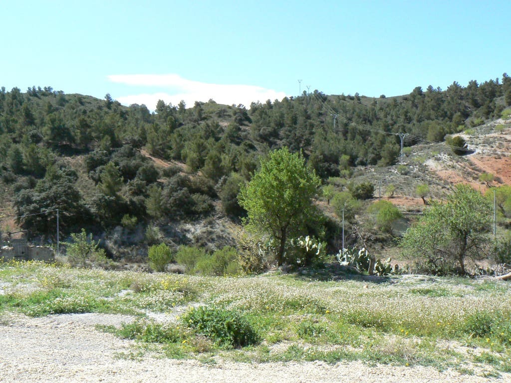 5 makuuhuone Maalaistalo myytävänä paikassa Lorca mukana 
autotalli - 249 995 € (Ref: 3376694)