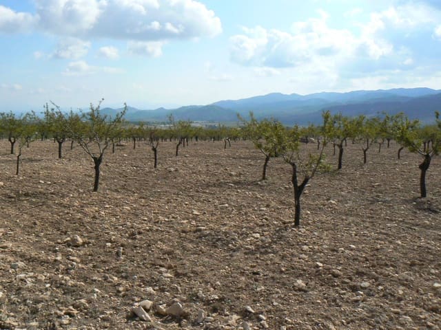 Building Plot for sale in Lorca - € 59,950 (Ref: 514064)