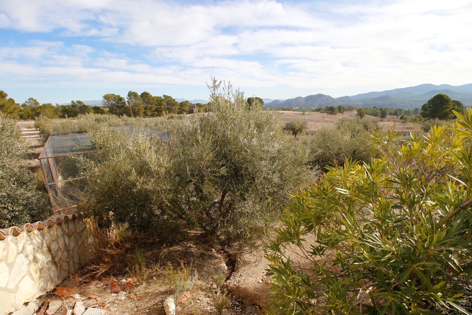 4 sovrum Villa till salu i Lorca med pool garage - 349 950 € (Ref: 6015145)