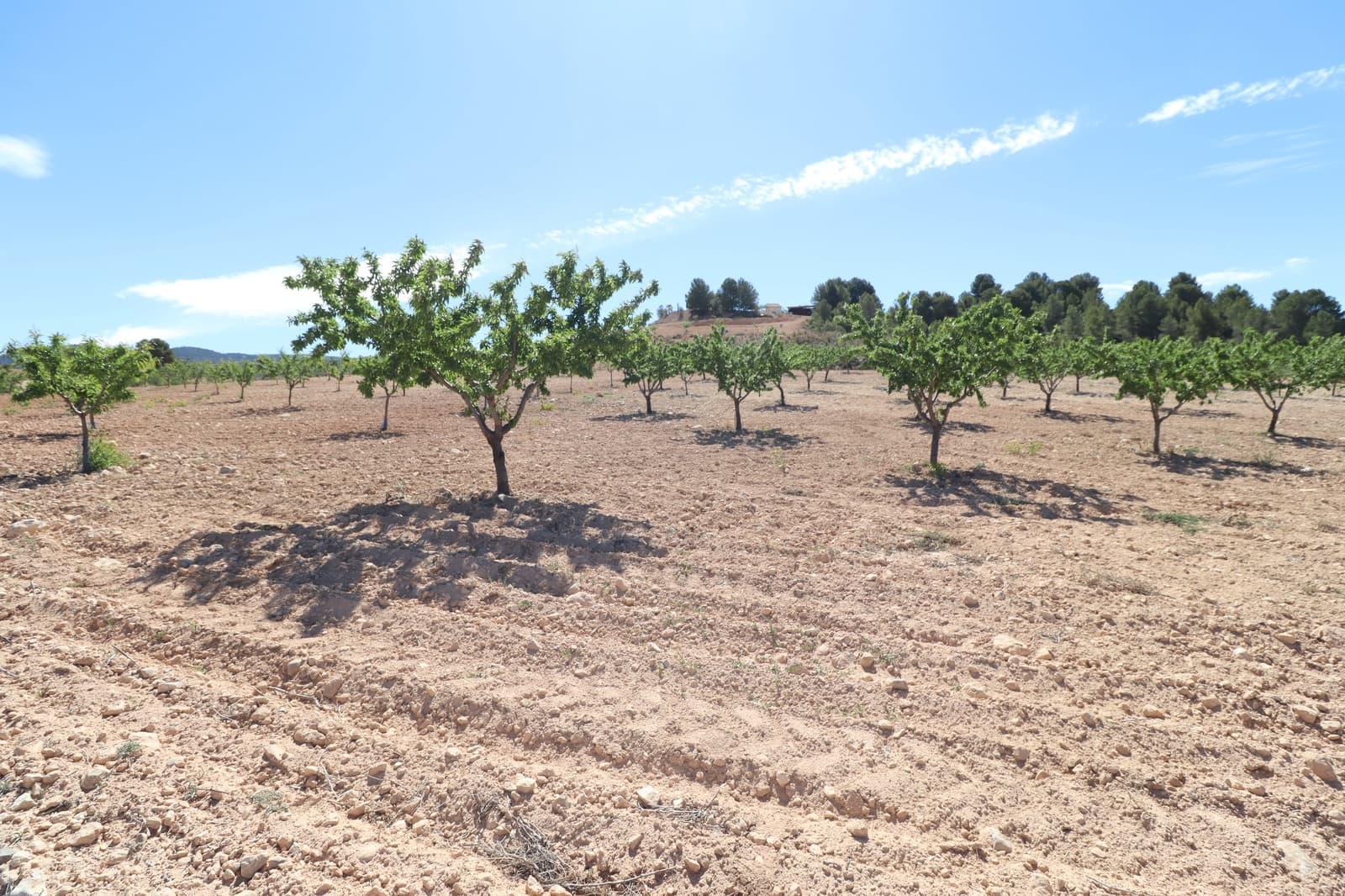 3 soveværelse Finca/Landehus til salg i Lorca med garage - € 249.950 (Ref: 8299610)