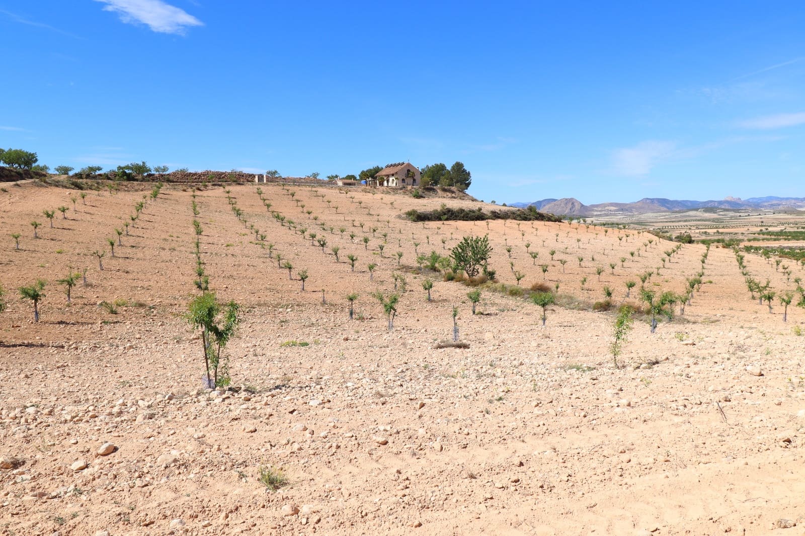 3 soveværelse Finca/Landehus til salg i Lorca med garage - € 249.950 (Ref: 8299610)