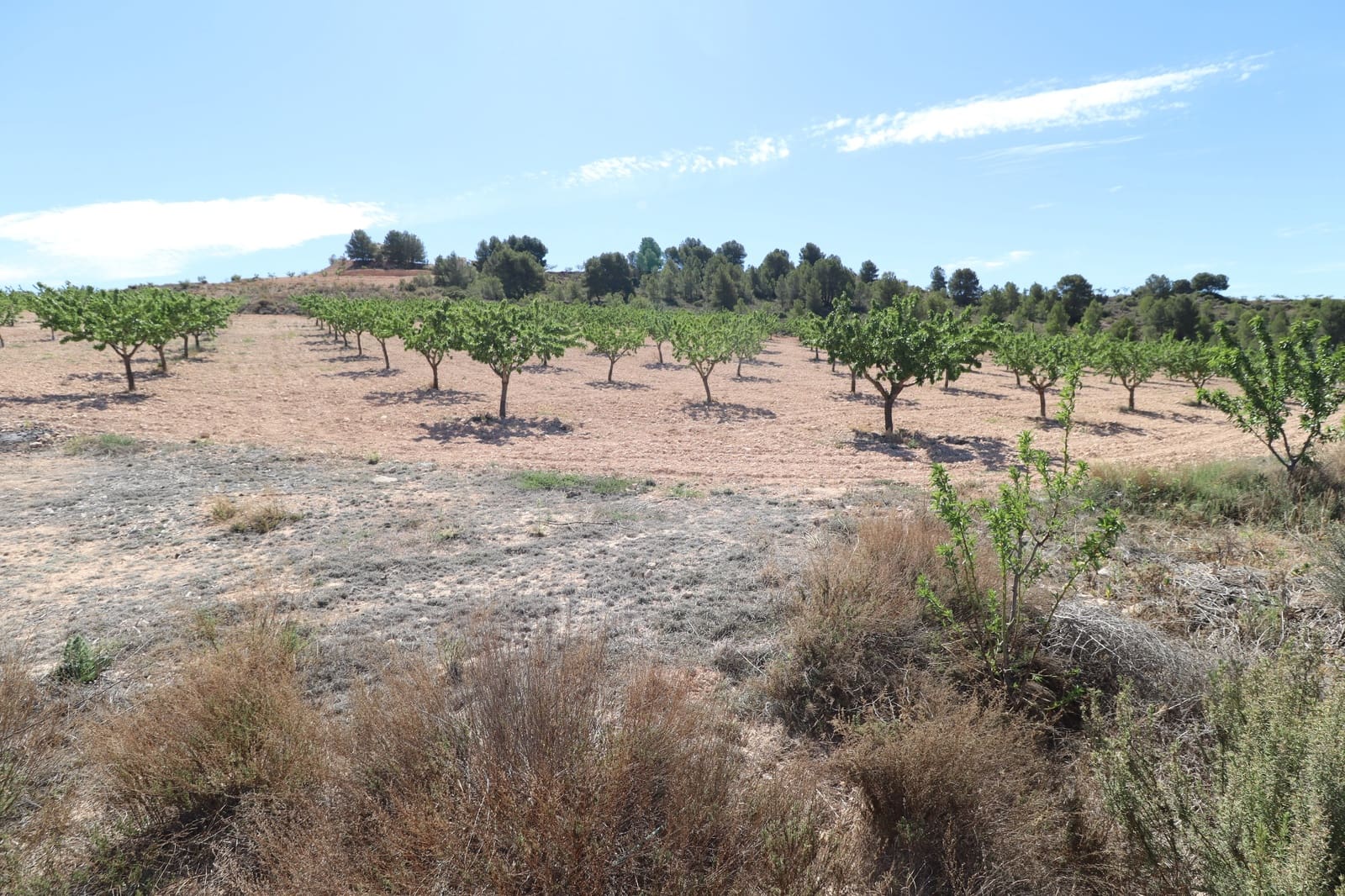 3 soveværelse Finca/Landehus til salg i Lorca med garage - € 249.950 (Ref: 8299610)