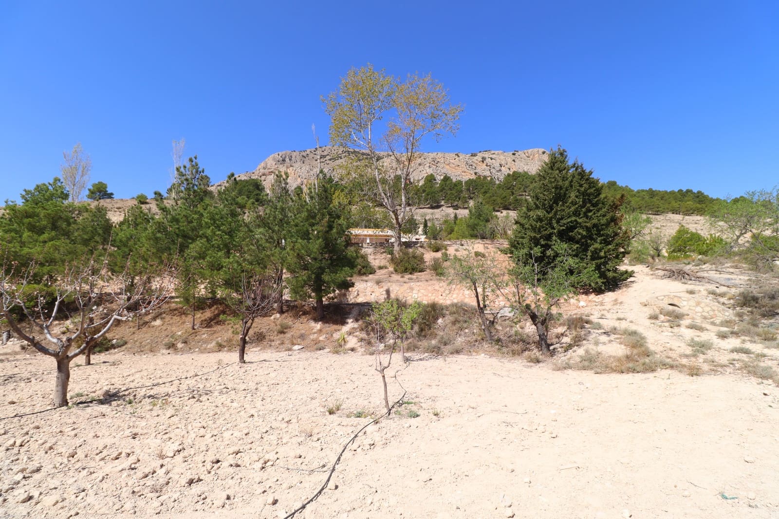 2 soveværelse Finca/Landehus til salg i Velez-Blanco - € 310.000 (Ref: 8344028)