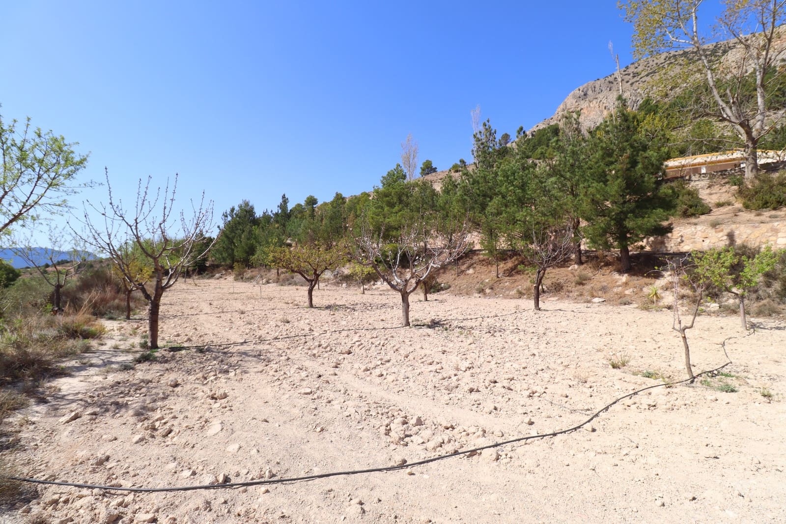 2 soveværelse Finca/Landehus til salg i Velez-Blanco - € 310.000 (Ref: 8344028)