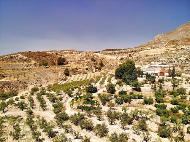 7 soverom Finca/Herregård til salgs i La Parroquia, Lorca - € 399 950 (Ref: 8625863)