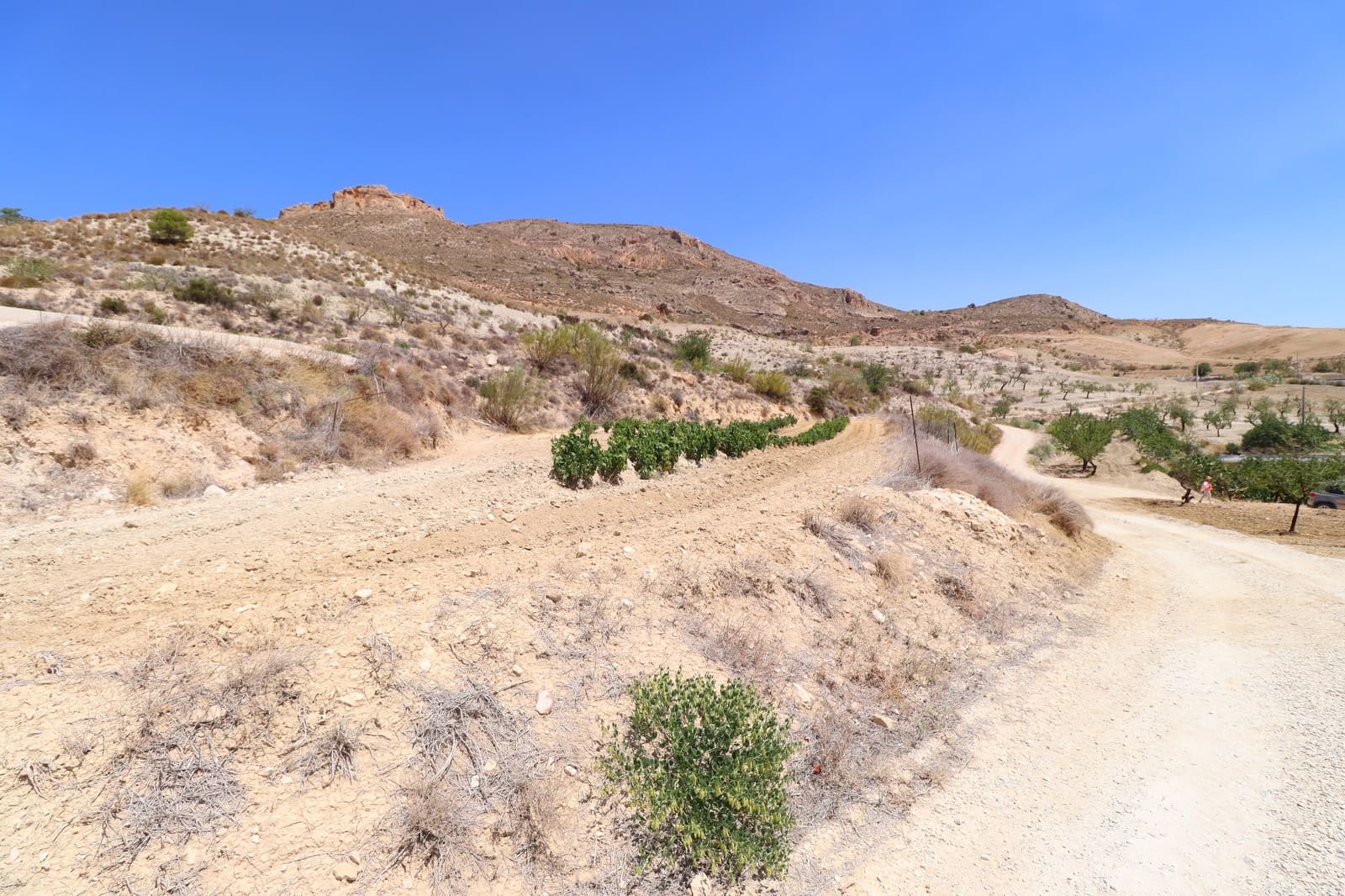 7 bedroom Finca/Country House for sale in La Parroquia - € 399,950 (Ref: 8625863)