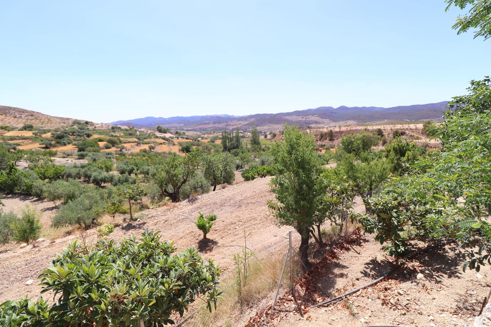 7 bedroom Finca/Country House for sale in La Parroquia - € 399,950 (Ref: 8625863)