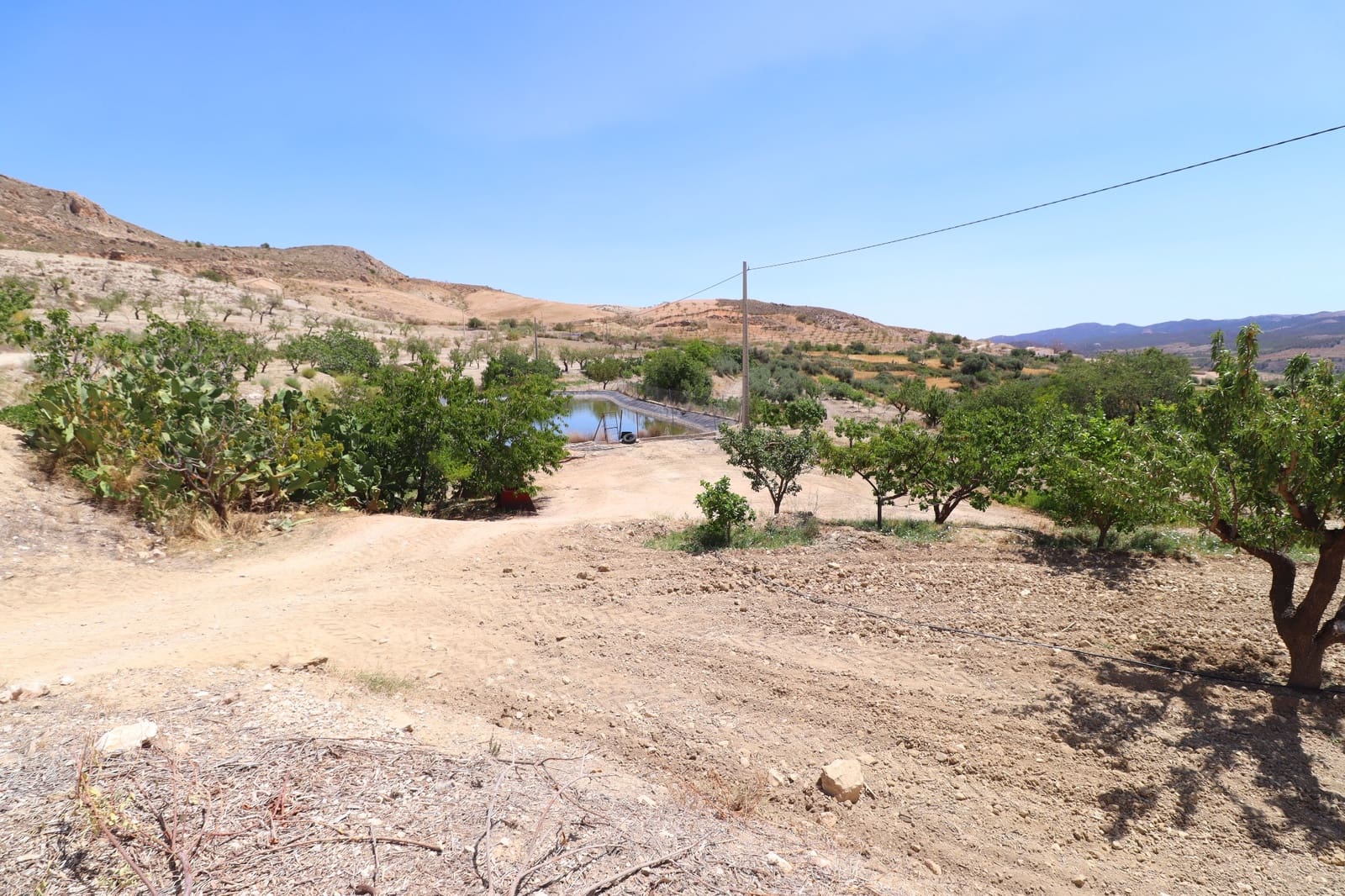 7 bedroom Finca/Country House for sale in La Parroquia - € 399,950 (Ref: 8625863)