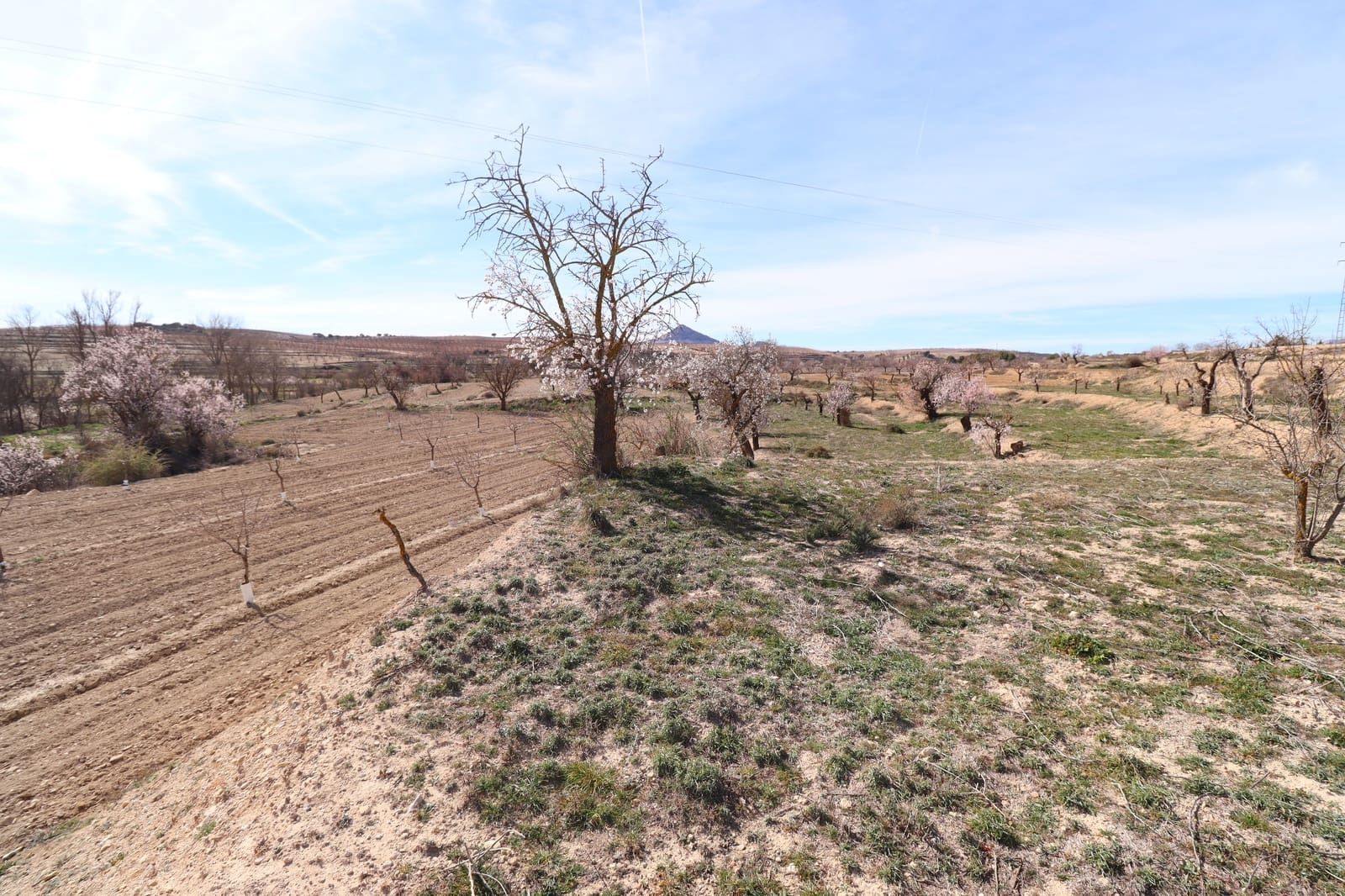 7 soverom Finca/Herregård til salgs i Chirivel med garasje - € 329 000 (Ref: 8841990)