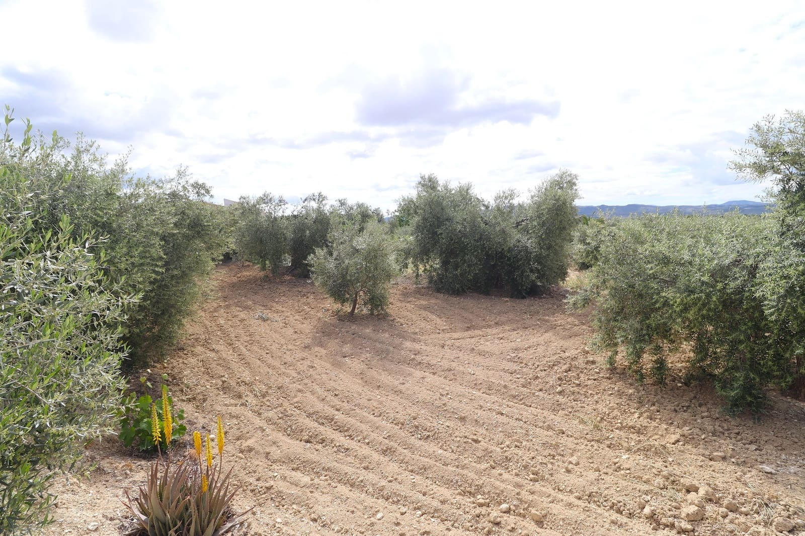 2 sovrum Finca/Hus på landet till salu i Velez-Blanco med garage - 115 000 € (Ref: 8987740)