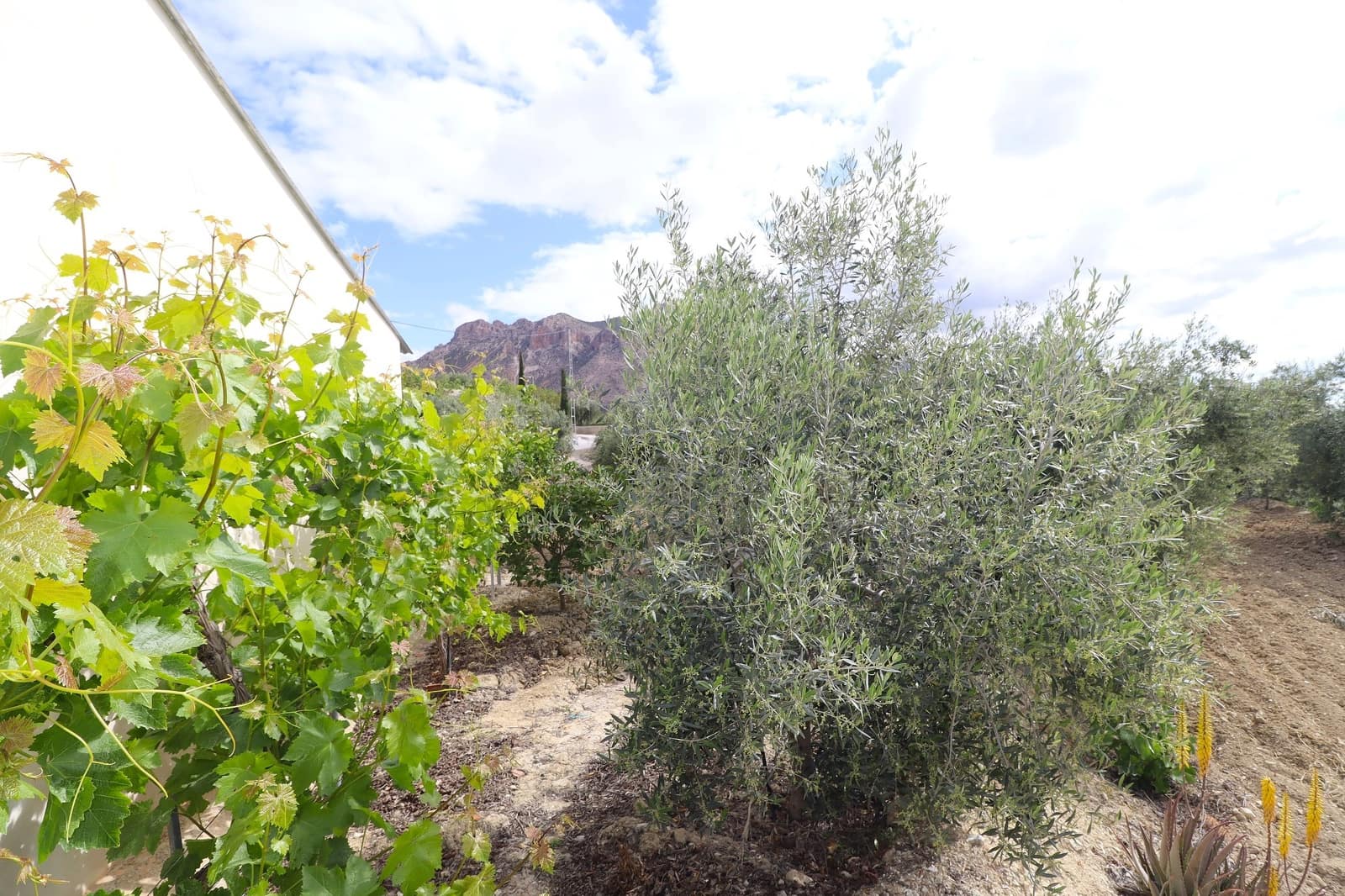 2 sovrum Finca/Hus på landet till salu i Velez-Blanco med garage - 115 000 € (Ref: 8987740)