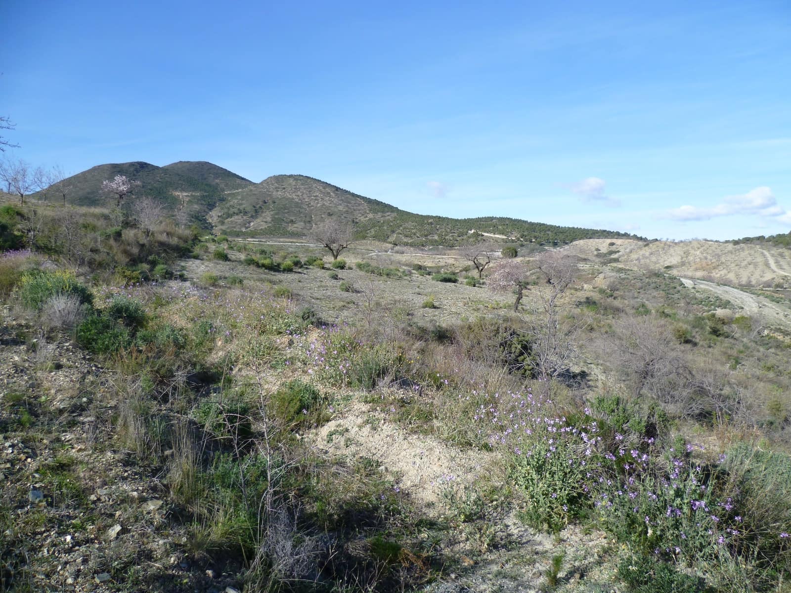 3 soveværelse Finca/Landehus til salg i Puerto Lumbreras - € 129.900 (Ref: 8989755)