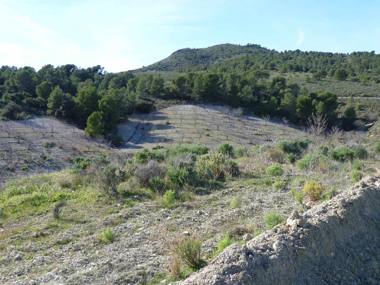 3 soveværelse Finca/Landehus til salg i Puerto Lumbreras - € 129.900 (Ref: 8989755)