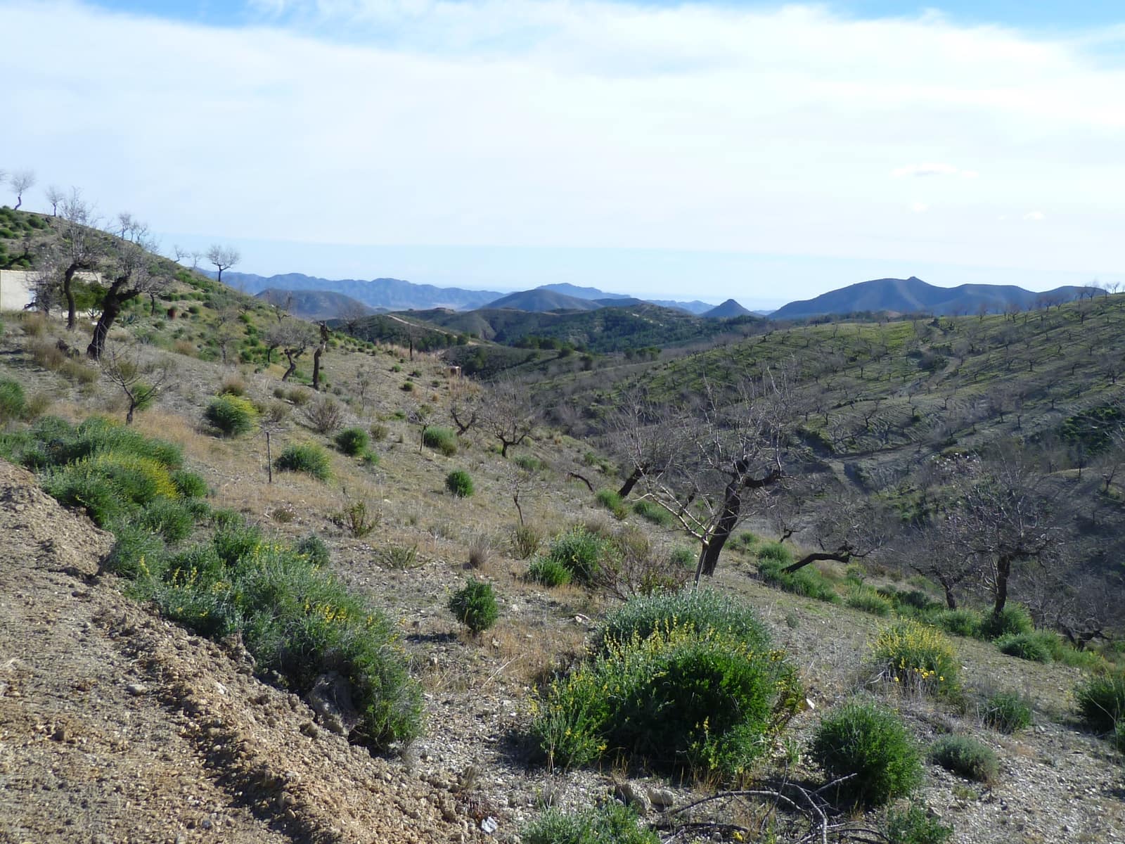 3 soveværelse Finca/Landehus til salg i Puerto Lumbreras - € 129.900 (Ref: 8989755)