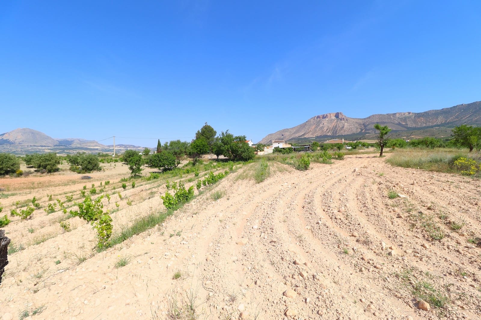 89 soveværelse Finca/Landehus til salg i Velez-Rubio med swimmingpool garage - € 415.000 (Ref: 9034660)