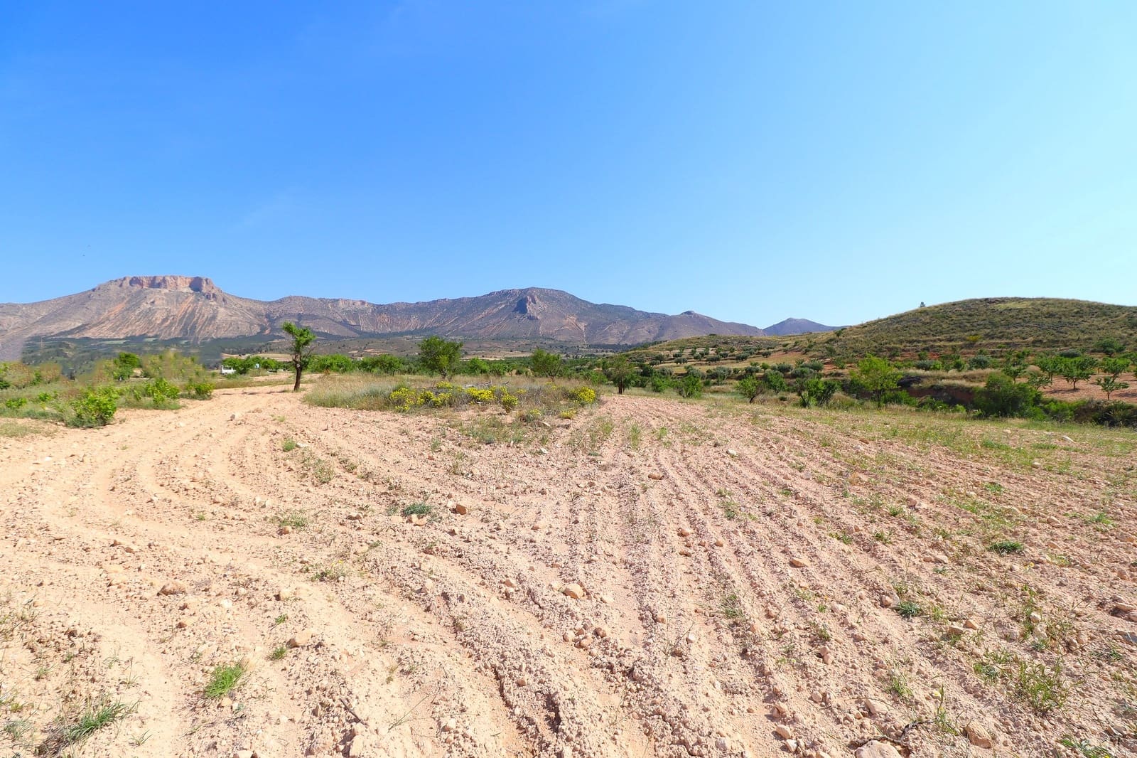 89 soveværelse Finca/Landehus til salg i Velez-Rubio med swimmingpool garage - € 415.000 (Ref: 9034660)