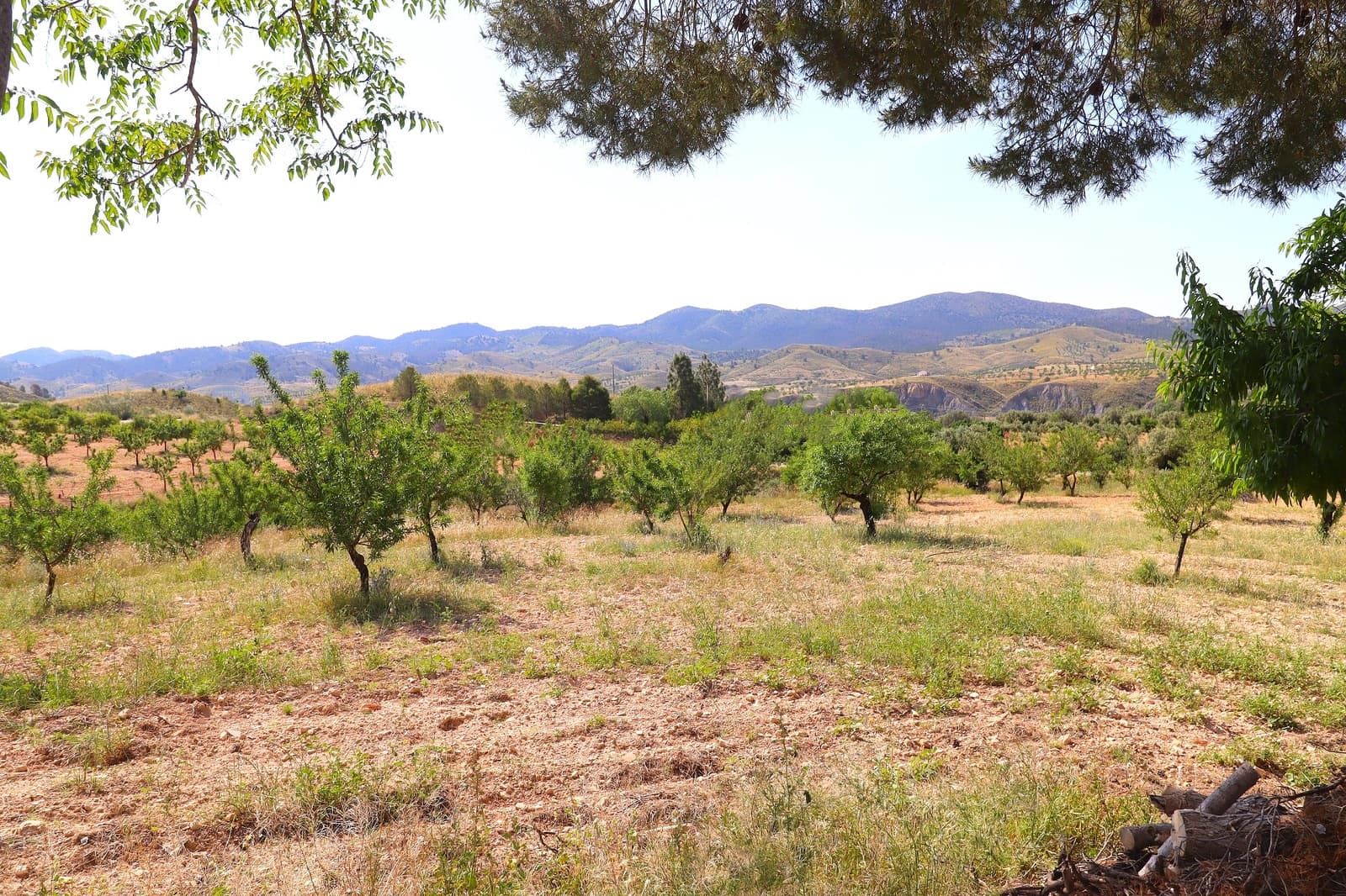 89 soveværelse Finca/Landehus til salg i Velez-Rubio med swimmingpool garage - € 415.000 (Ref: 9034660)