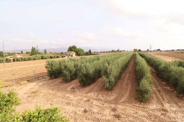 4 soverom Finca/Herregård til salgs i Lorca - € 199 000 (Ref: 9249050)