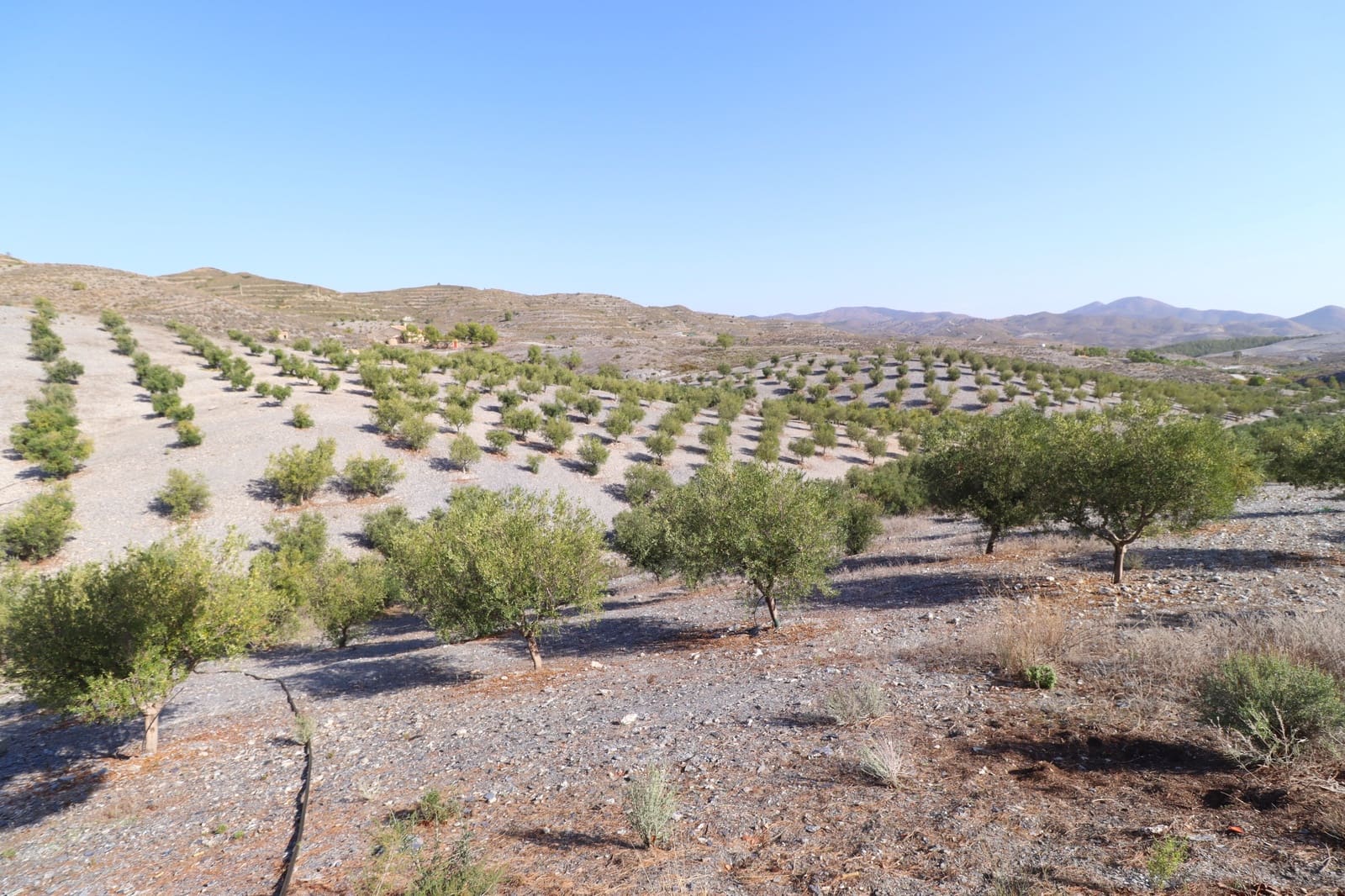 4 soveværelse Finca/Landehus til salg i Puerto Lumbreras med garage - € 389.000 (Ref: 9347787)