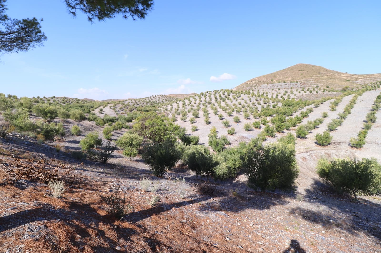 4 soveværelse Finca/Landehus til salg i Puerto Lumbreras med garage - € 389.000 (Ref: 9347787)