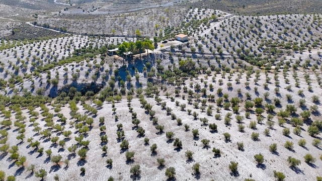 4 soverom Finca/Herregård til salgs i Puerto Lumbreras med garasje - € 389 000 (Ref: 9347787)