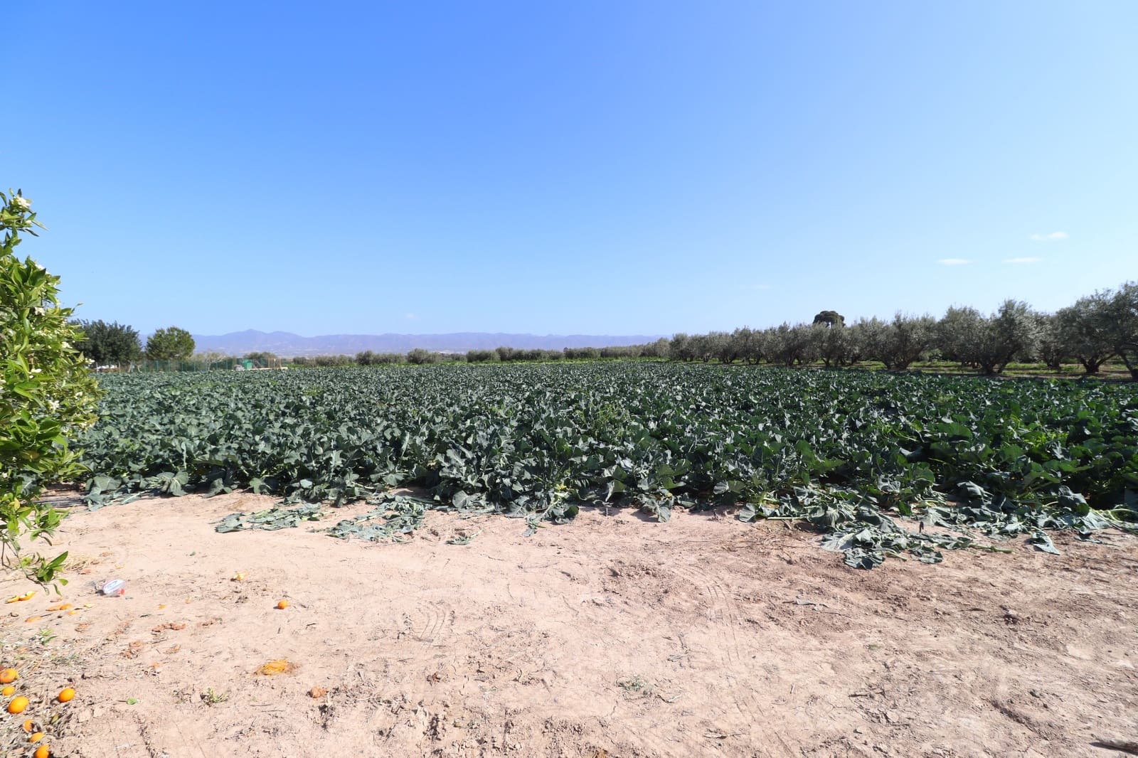 3 soverom Finca/Herregård til salgs i Lorca med garasje - € 179 990 (Ref: 9383275)