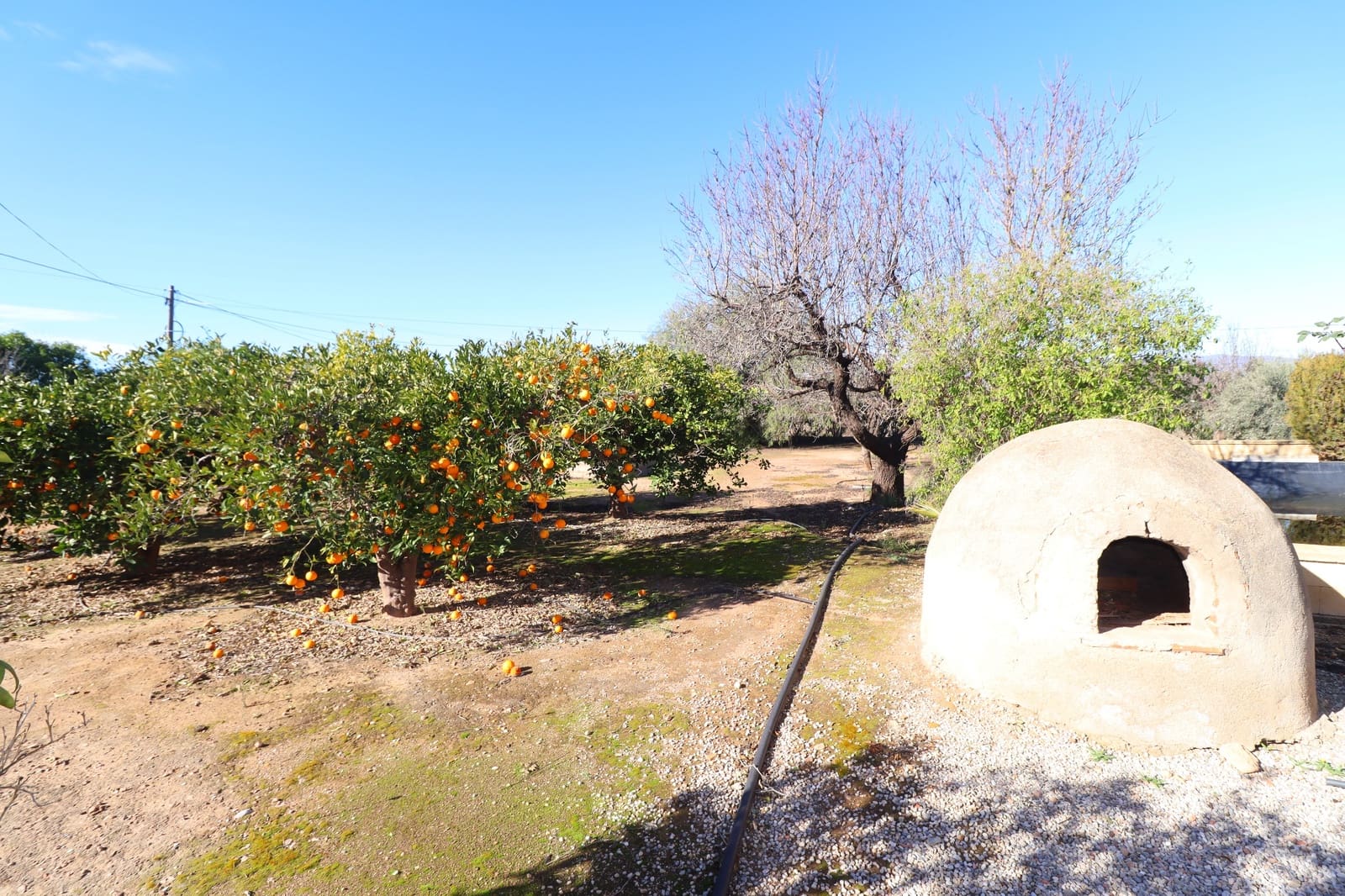5 bedroom Finca/Country House for sale in Purias with pool garage - € 229,000 (Ref: 9543936)