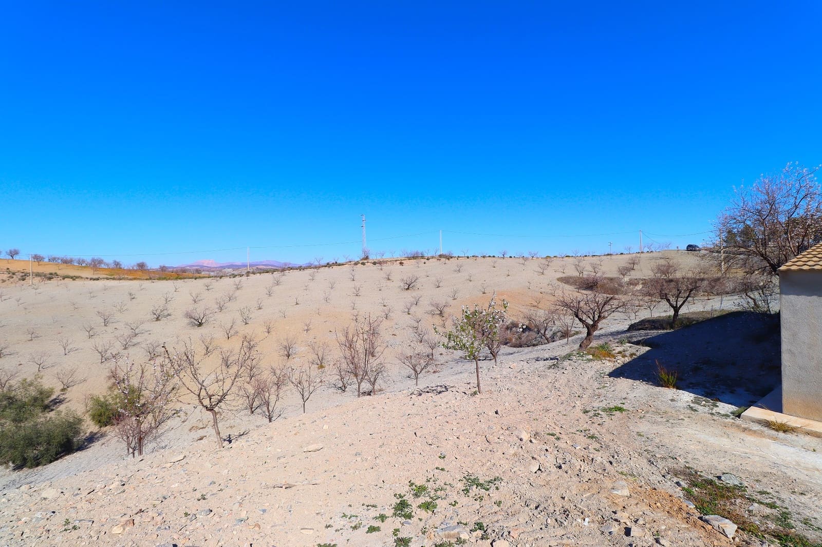 3 bedroom Finca/Country House for sale in Velez-Rubio with garage - € 160,000 (Ref: 9552989)