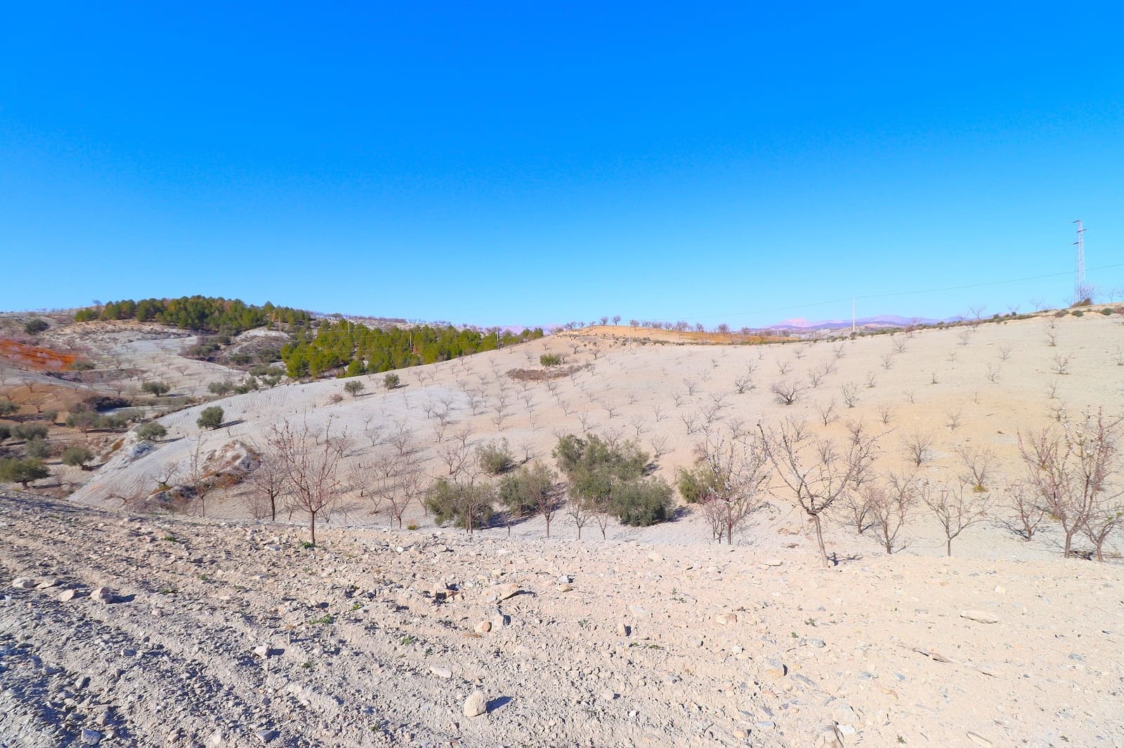 3 bedroom Finca/Country House for sale in Velez-Rubio with garage - € 160,000 (Ref: 9552989)