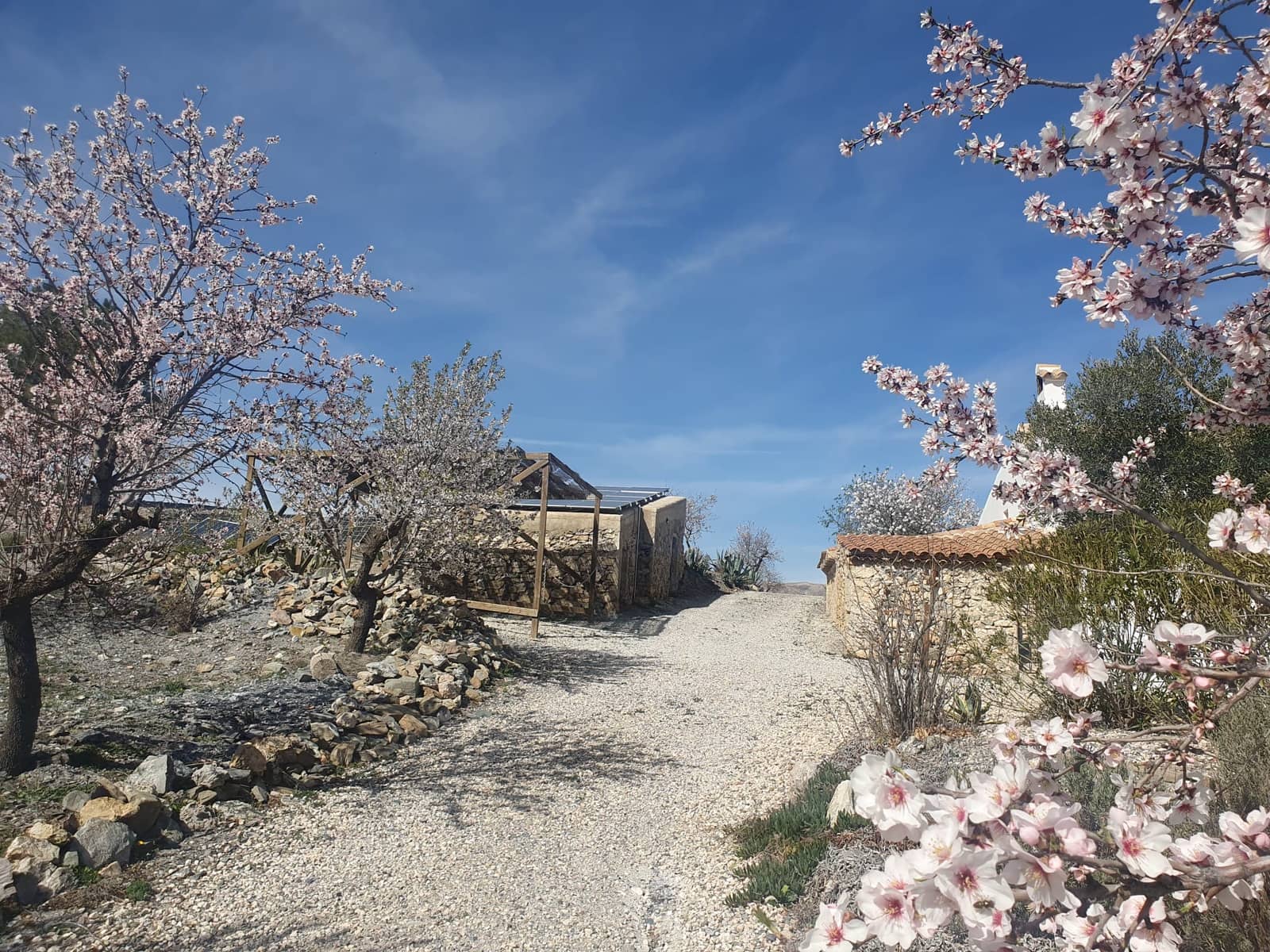 8 soverom Finca/Herregård til salgs i Velez-Rubio med svømmebasseng garasje - € 399 000 (Ref: 9614528)