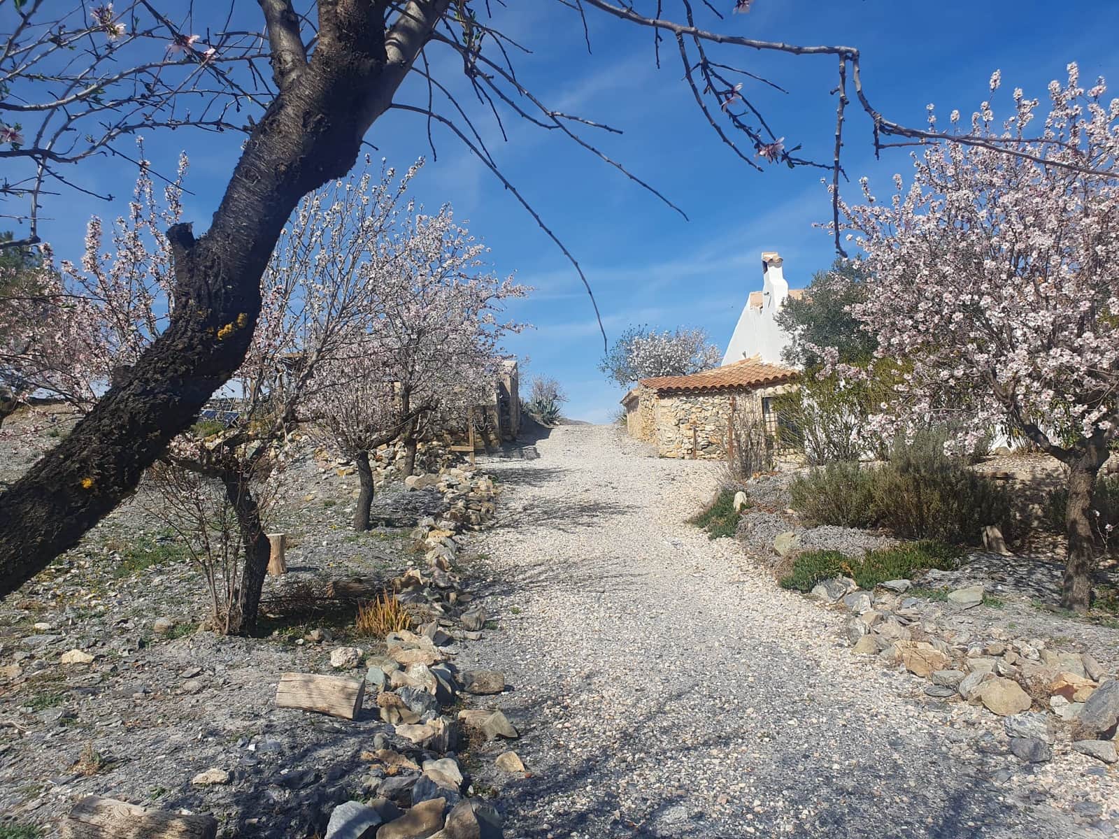 8 soverom Finca/Herregård til salgs i Velez-Rubio med svømmebasseng garasje - € 399 000 (Ref: 9614528)