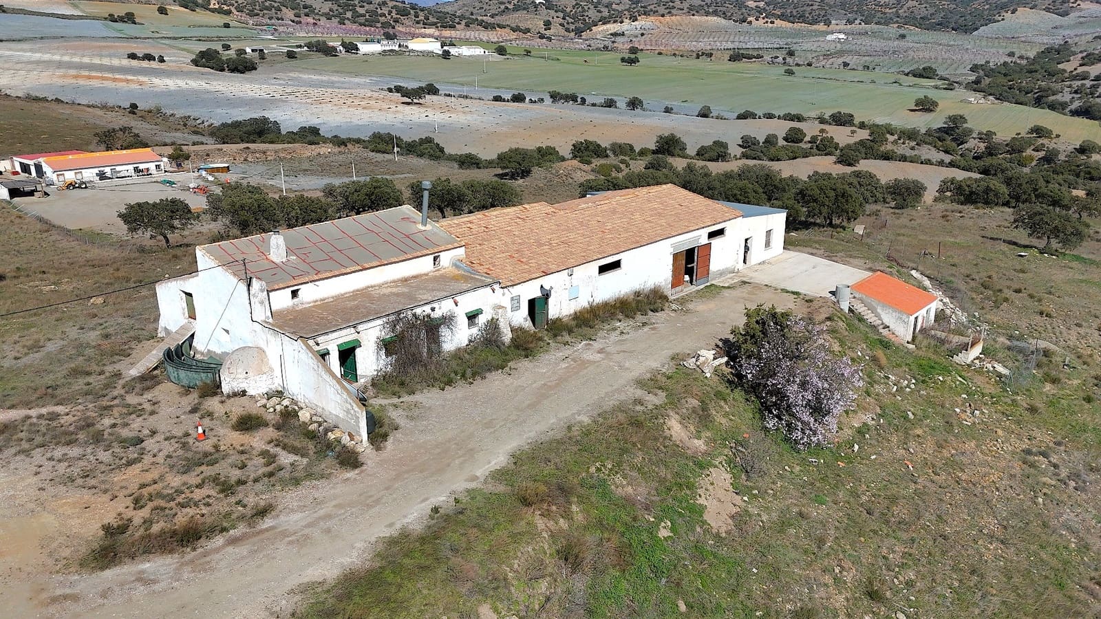 5 sypialnia Finka/Dom wiejski na sprzedaż w El Bancalejo - 159 000 € (Ref: 9653131)