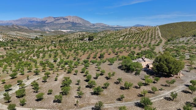 3 soverom Finca/Herregård til salgs i Vélez-Rubio med garasje - € 170 000 (Ref: 9872328)