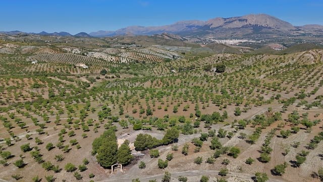 3 soverom Finca/Herregård til salgs i Vélez-Rubio med garasje - € 170 000 (Ref: 9872328)