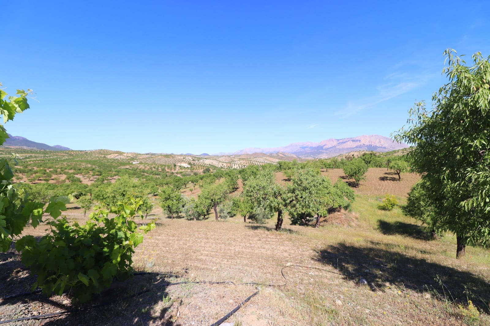 3 soverom Finca/Herregård til salgs i Velez-Rubio med garasje - € 170 000 (Ref: 9872328)