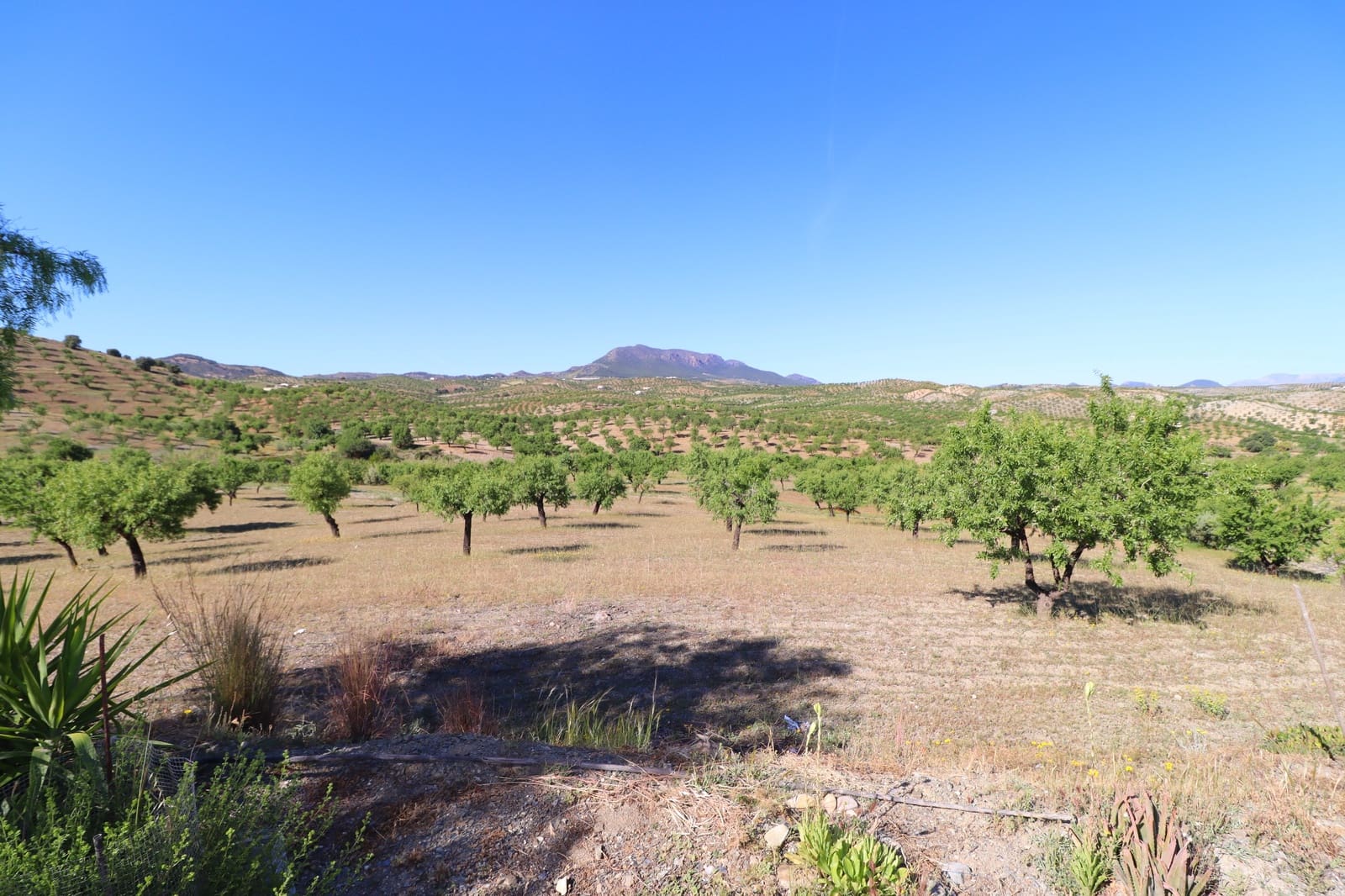 3 soverom Finca/Herregård til salgs i Velez-Rubio med garasje - € 170 000 (Ref: 9872328)