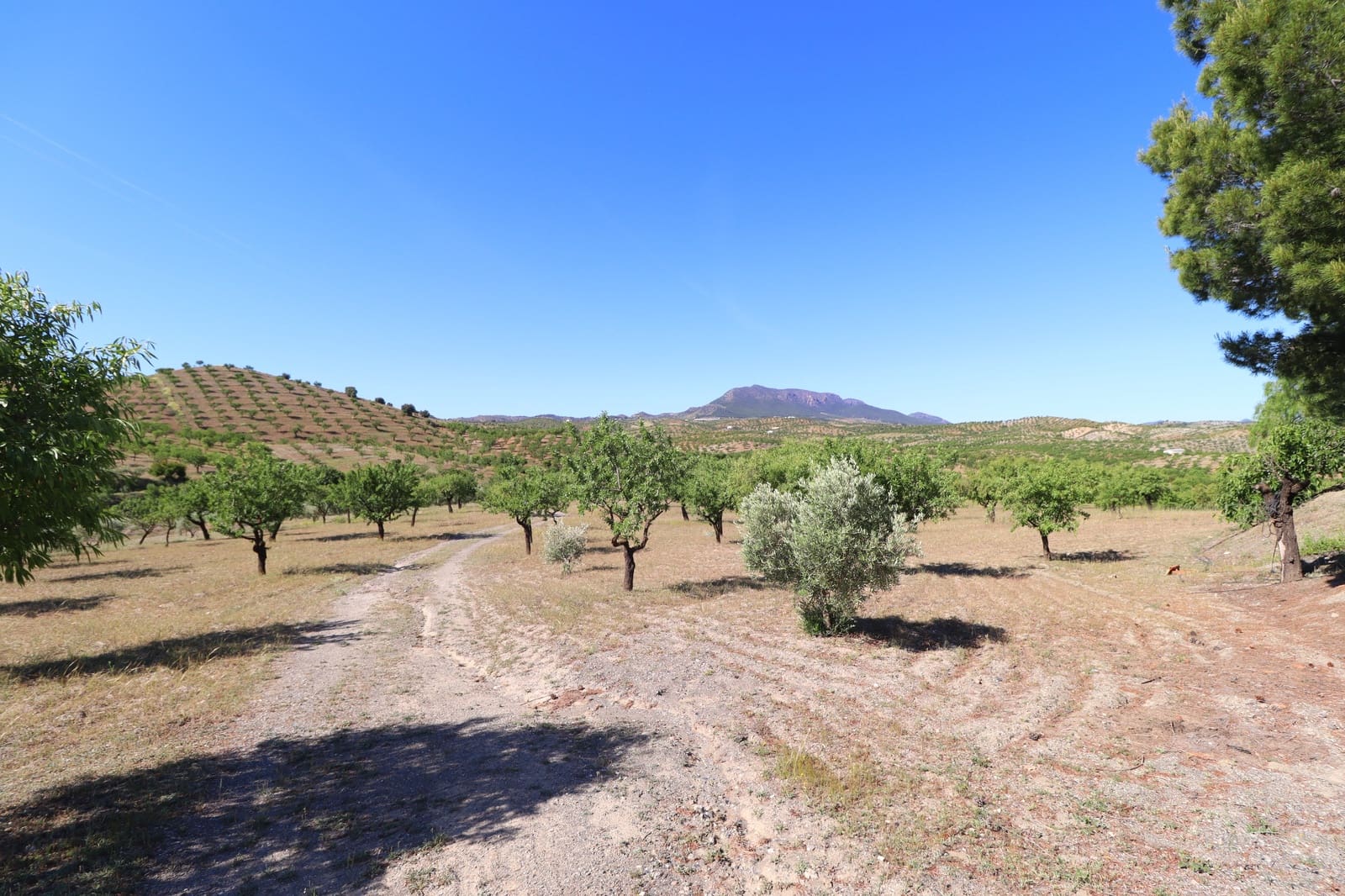 3 soverom Finca/Herregård til salgs i Velez-Rubio med garasje - € 170 000 (Ref: 9872328)