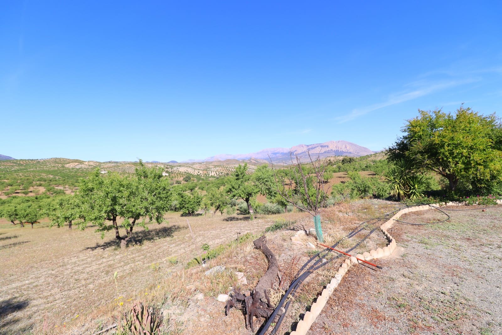 3 soverom Finca/Herregård til salgs i Velez-Rubio med garasje - € 170 000 (Ref: 9872328)