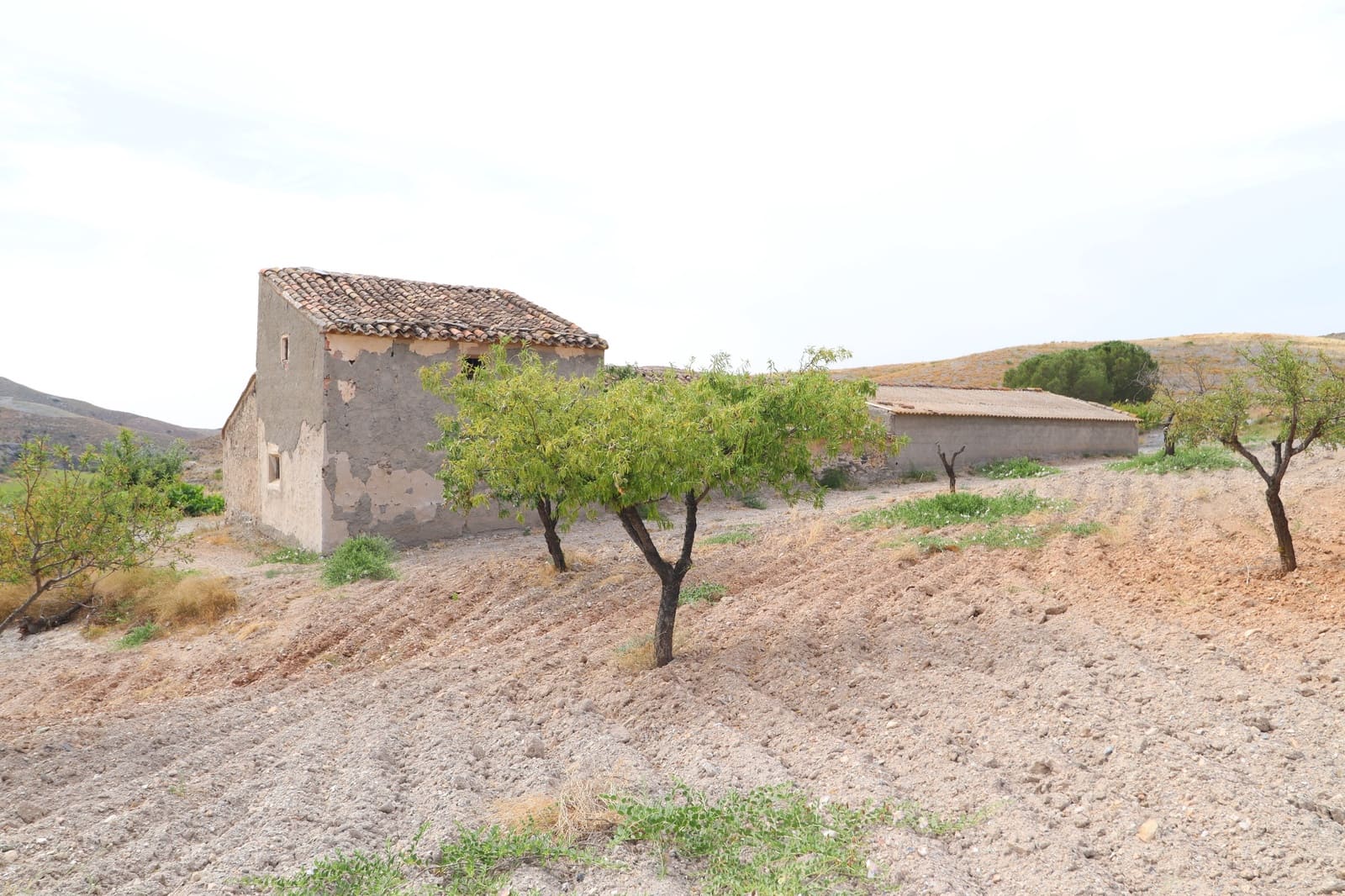 5 bedroom Finca/Country House for sale in Puerto Lumbreras - € 85,000 (Ref: 9932085)