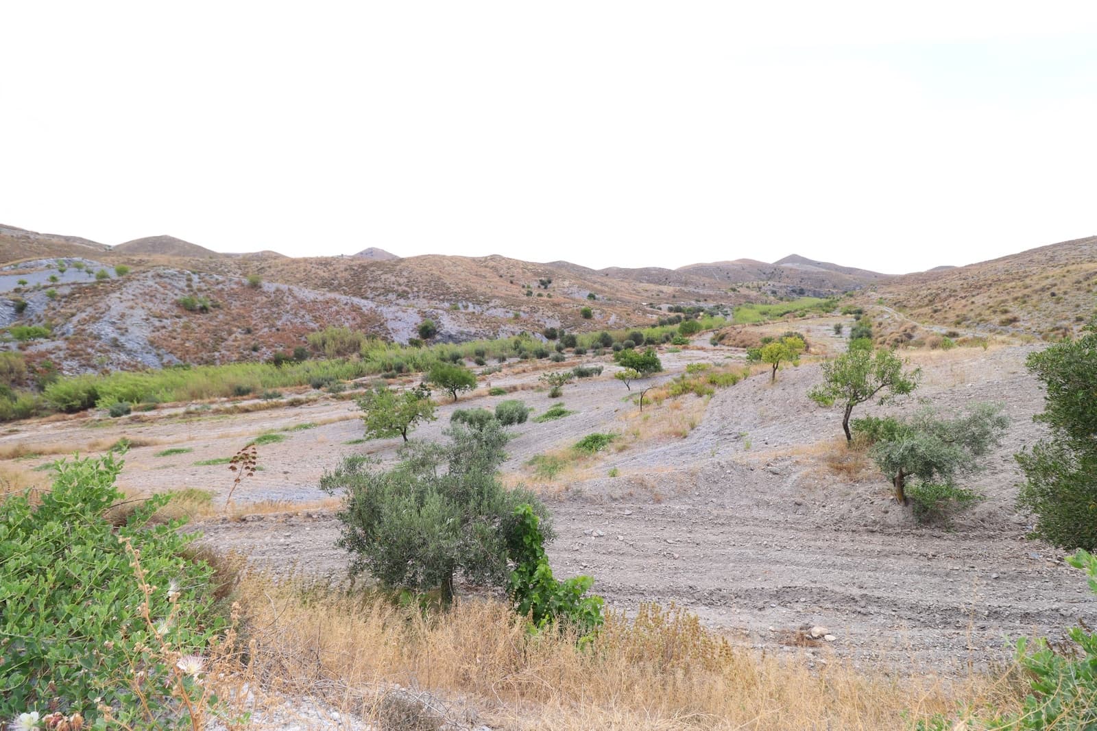 5 bedroom Finca/Country House for sale in Puerto Lumbreras - € 85,000 (Ref: 9932085)