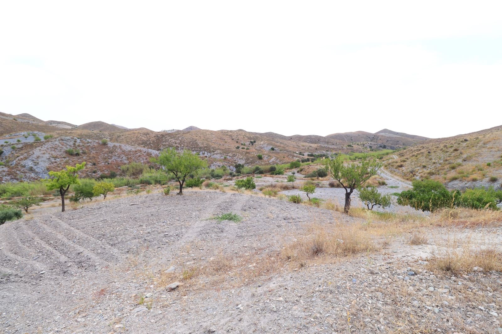 5 bedroom Finca/Country House for sale in Puerto Lumbreras - € 85,000 (Ref: 9932085)