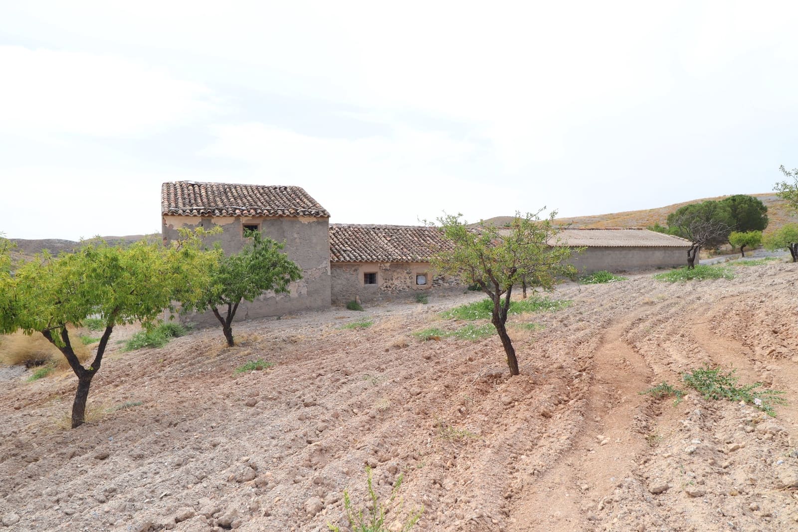 5 bedroom Finca/Country House for sale in Puerto Lumbreras - € 85,000 (Ref: 9932085)
