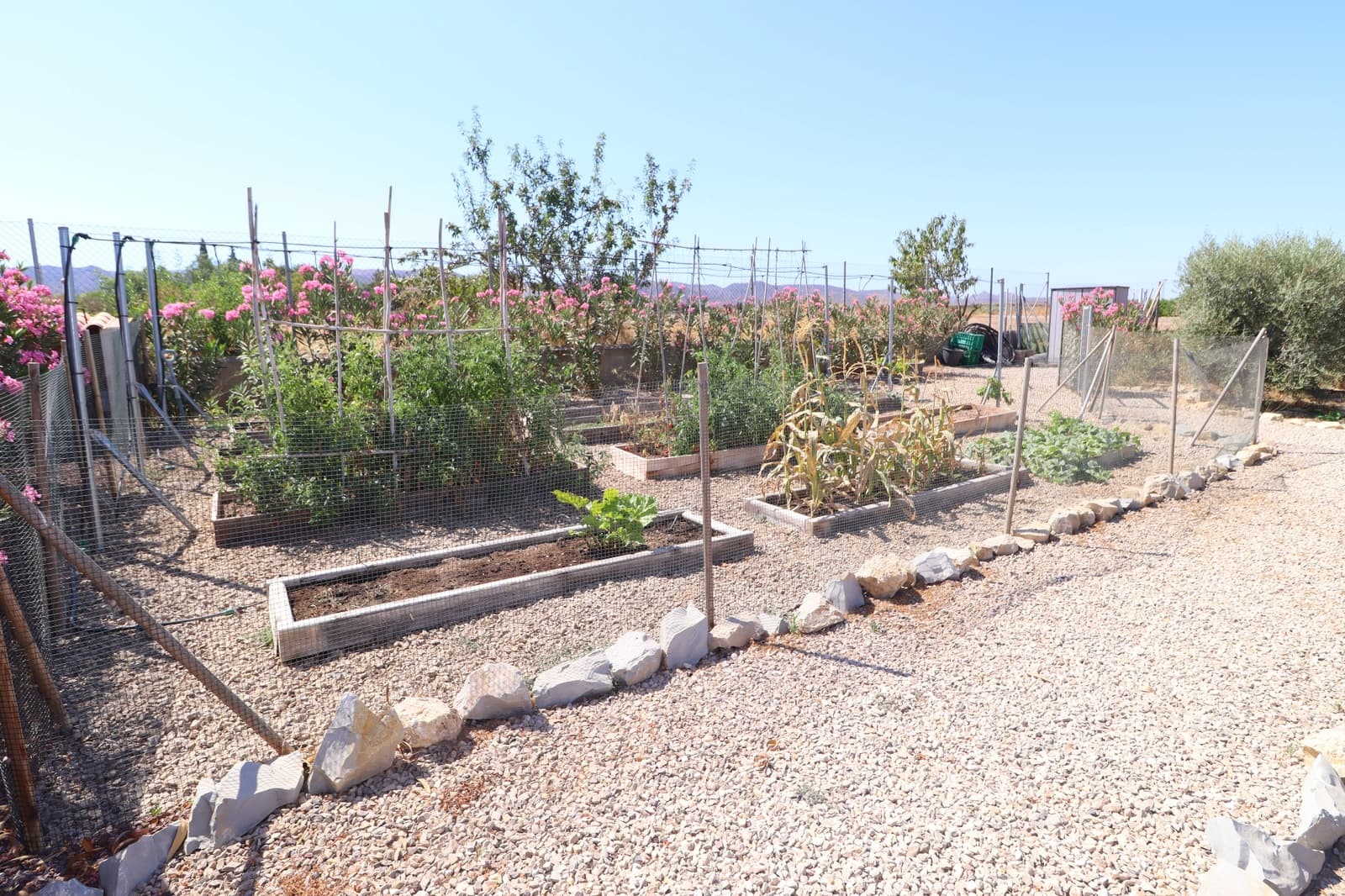 4 quarto Moradia para venda em Lorca com piscina garagem - 424 950 € (Ref: 9953050)