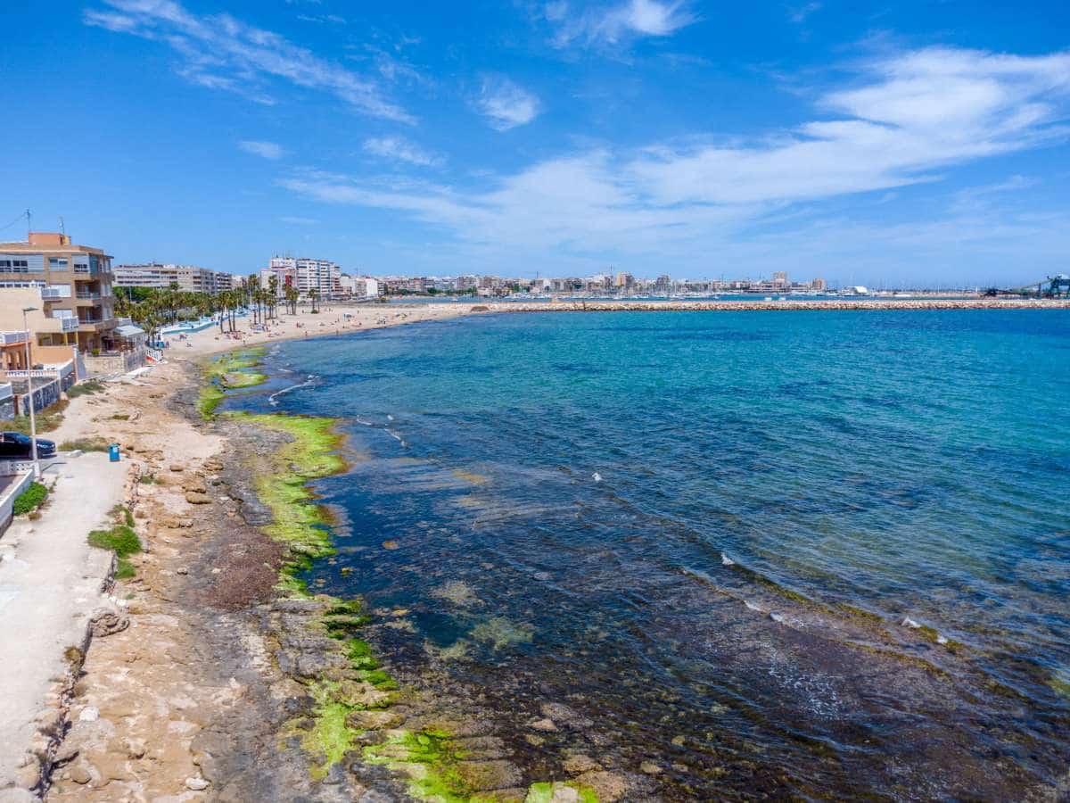 3 makuuhuone Huoneisto myytävänä paikassa Torrevieja - 125 000 € (Ref: 10031065)