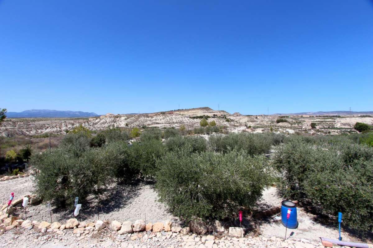 6 slaapkamer Villa te koop in Albudeite - € 320.000 (Ref: 8481251)